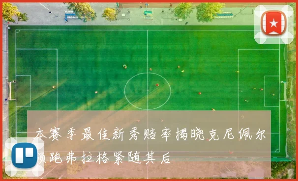 本赛季最佳新秀赔率揭晓克尼佩尔领跑弗拉格紧随其后