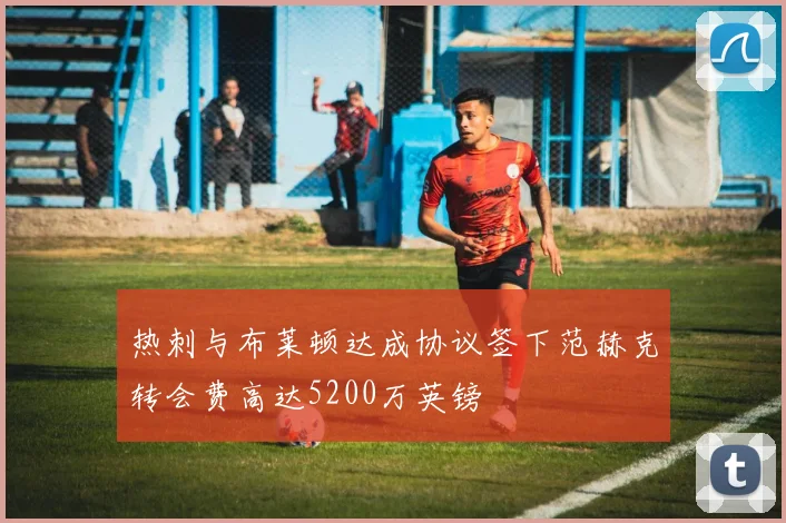 热刺与布莱顿达成协议签下范赫克转会费高达5200万英镑